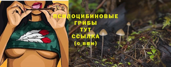 экстази Баксан