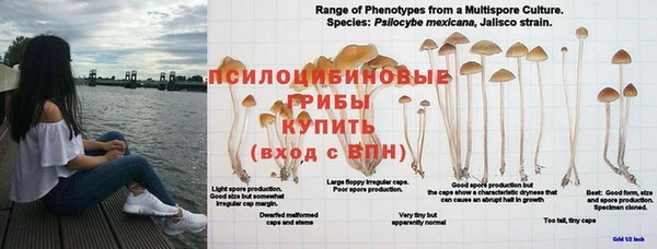 Альфа ПВП Балабаново