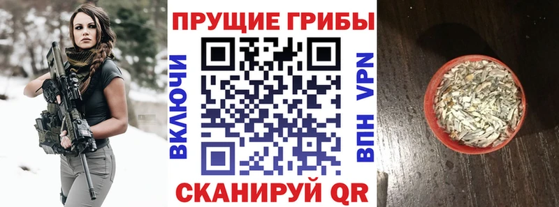 ОМГ ОМГ рабочий сайт Бор площадка Telegram закладка Галлюциногенные грибы Magic Shrooms