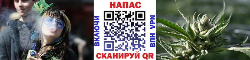 где можно купить   Бор  Каннабис Bruce Banner 